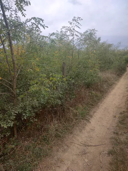 Potes Kurjakovac | 4zida.rs