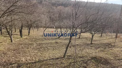 Put za Markoviće | 4zida.rs