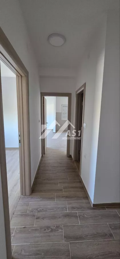 Ive Lole Ribara | 4zida.rs