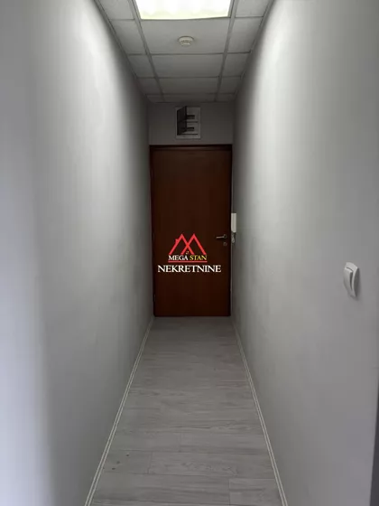 Augusta Cesarca | 4zida.rs