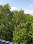 Beograd, Zvezdara opština, Mirijevo | 4zida.rs | 4zida.rs