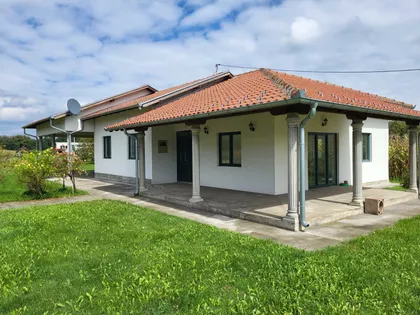 Dositeja Obradovića | 4zida.rs