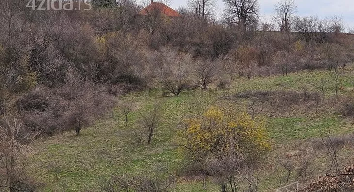 Poljoprivredno zemljište | 4zida