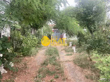 Arsenija Čarnojevića | 4zida.rs