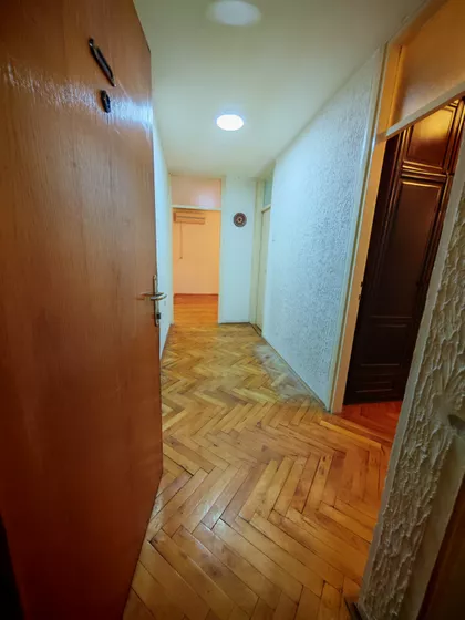 Bulevar Nemanjića 75 | 4zida.rs