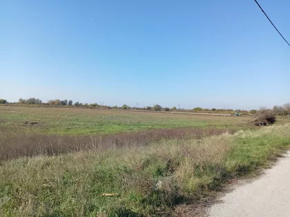 Ovča | 4zida.rs
