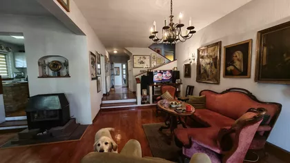 Pavla Ugrinova | 4zida.rs