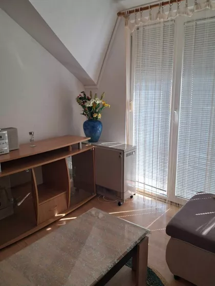 Samoška 15 | 4zida.rs