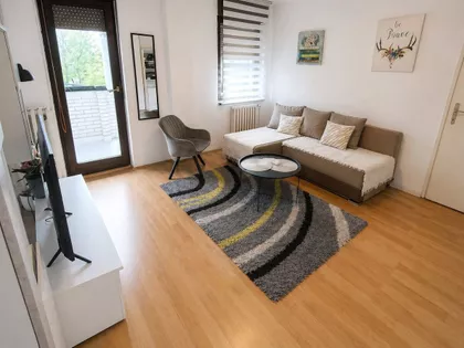 Rumenačka | 4zida.rs