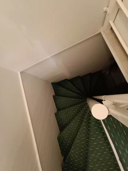 Miše Dimitrijevića | 4zida.rs