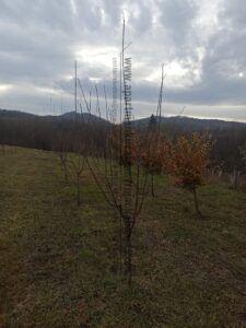 Gračac