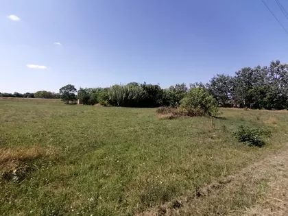 Palić | 4zida.rs