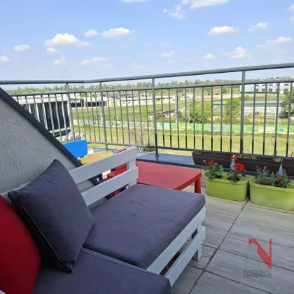 Petrovaradin | 4zida.rs