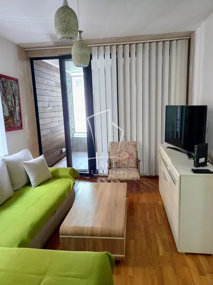 Dr Dragoslava Popovića | 4zida.rs