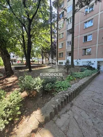 Darinke Radović | 4zida.rs