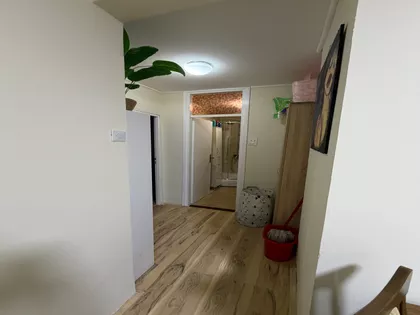 Lajoša Joa 59 | 4zida.rs