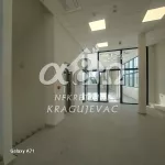 Lokal | 4zida