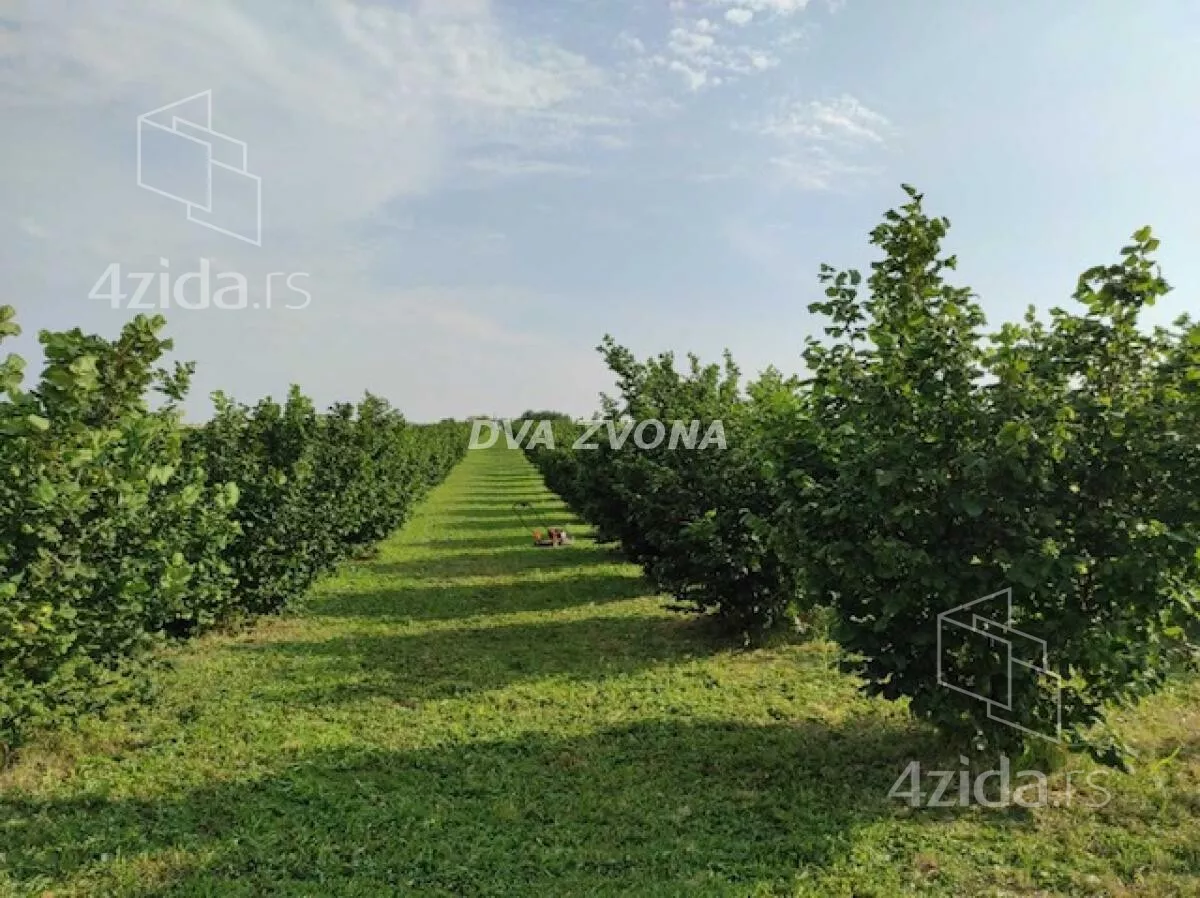 Poljoprivredno zemljište | 4zida