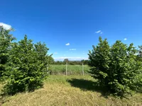 Poljoprivredno zemljište | 4zida