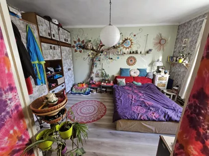 Bački Vinogradi | 4zida.rs