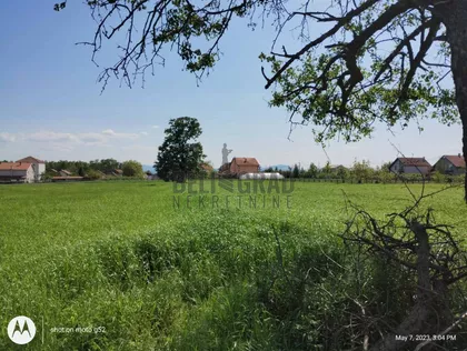 Kragujevačka | 4zida.rs