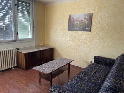 Segedinski Put 17 | 4zida.rs