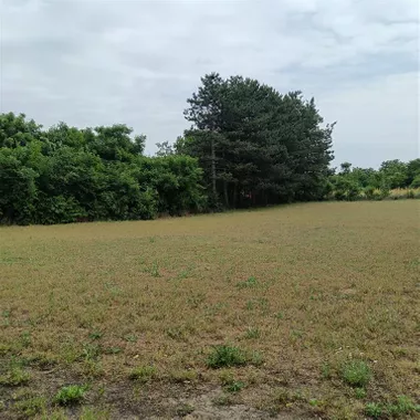 Peščara
