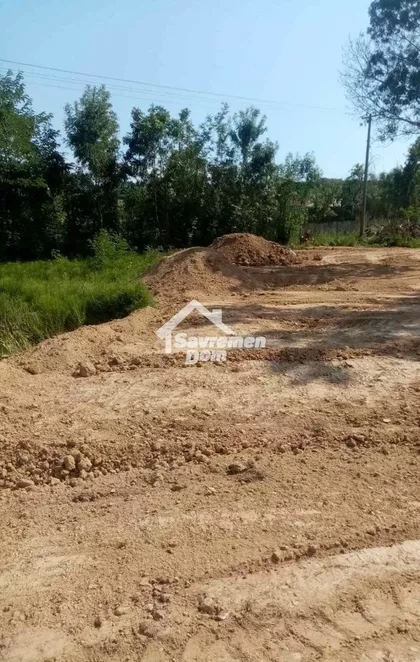 Goločelo | 4zida.rs