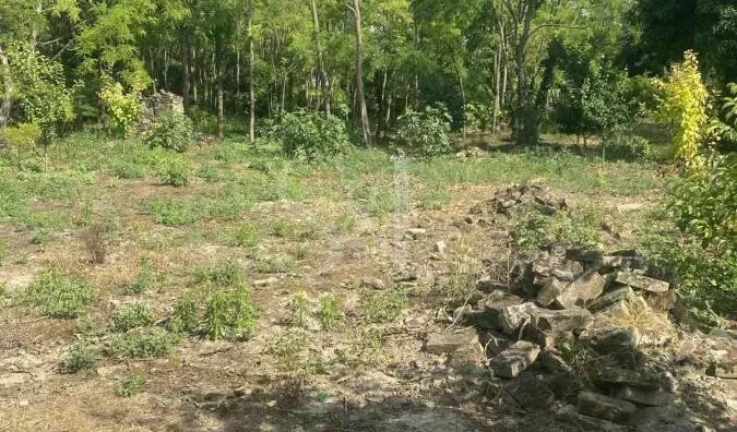 Poljoprivredno zemljište | 4zida