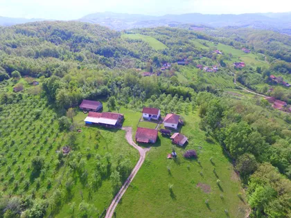 Zorana Tomovića 21D | 4zida.rs