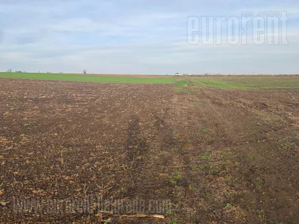 BATAJNICA AUTOPUT | 4zida.rs