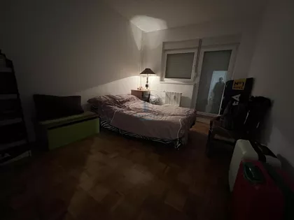 Akrobate Aleksića | 4zida.rs