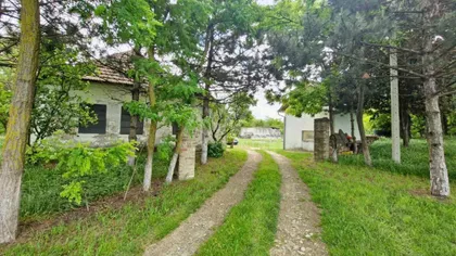 Stanišić | 4zida.rs