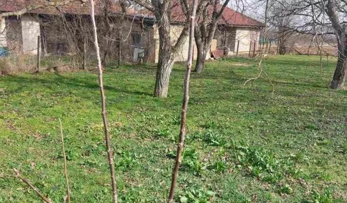Plac | 4zida