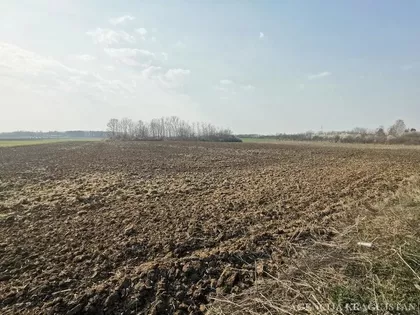 Cerovac | 4zida.rs
