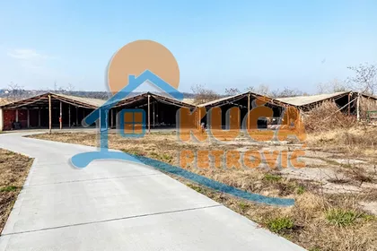 Topličkog partizanskog odreda | 4zida.rs