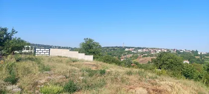 Savke Subotić | 4zida.rs