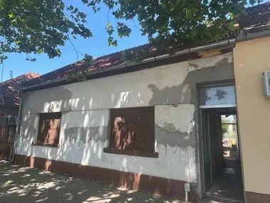 Dr Laze Kostića