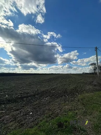 GLAVNI PUT | 4zida.rs