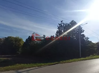 Palić | 4zida.rs