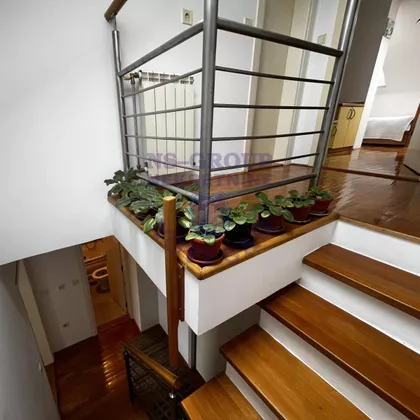 Nova Detelinara | 4zida.rs