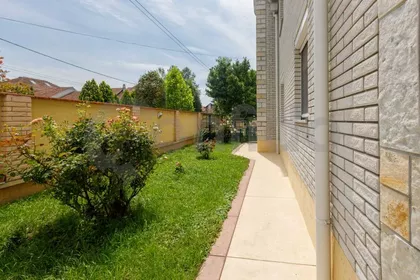 Zire Adamovića | 4zida.rs