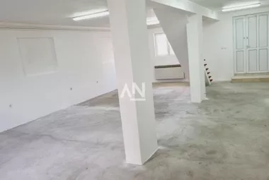 Bežanijskih ilegalaca