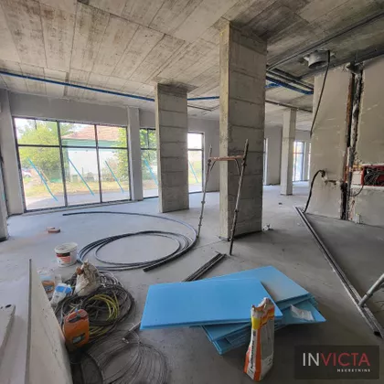 Salajka | 4zida.rs