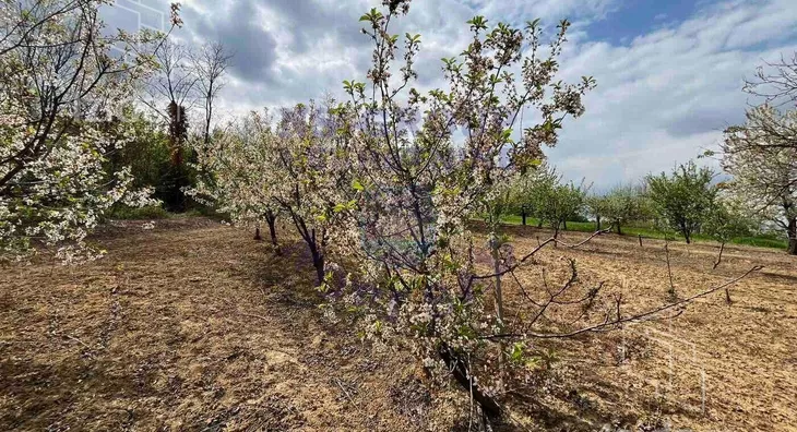Poljoprivredno zemljište | 4zida