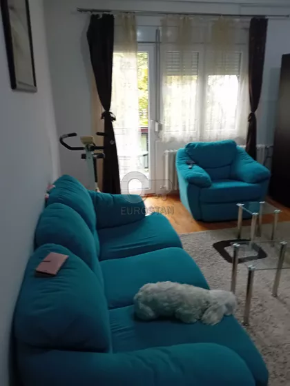 Roze Luksemburg | 4zida.rs