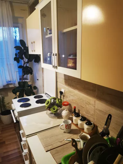 Vojvode Stepe | 4zida.rs
