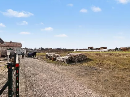 Misa Vinogradi | 4zida.rs