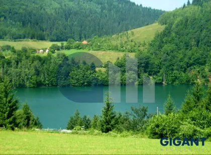 Debelja | 4zida.rs