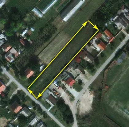Save Šumanovića | 4zida.rs